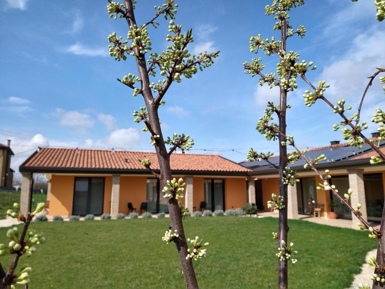 Agriturismo Verdecielo Pádua Quarto foto